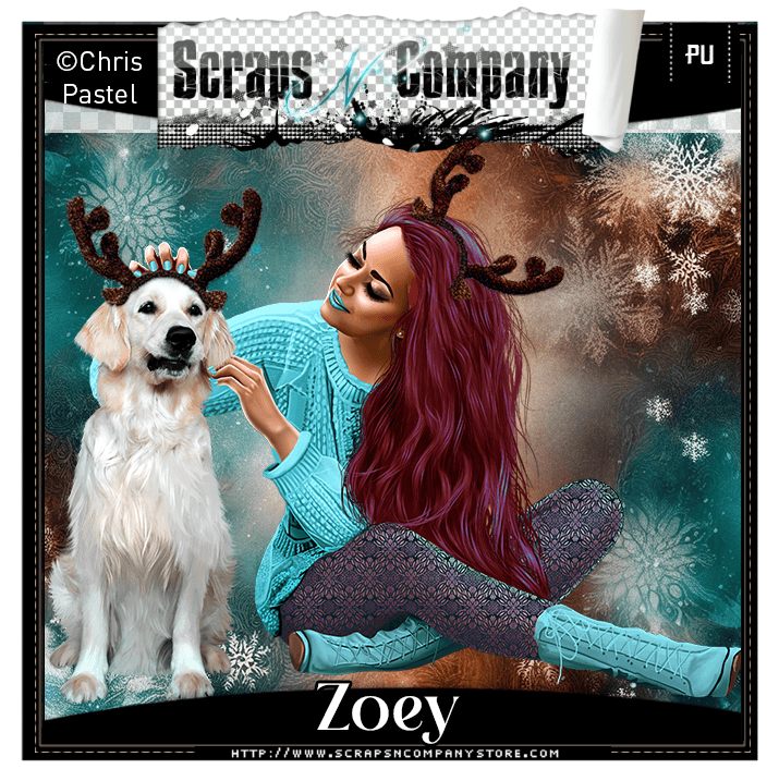 SNCO - Teal Christmas Store Collab