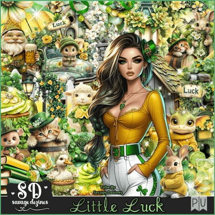 SD - Little Luck Kit