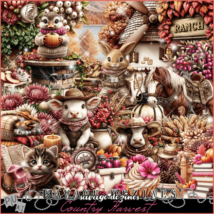 SD-CountryHarvest Kit