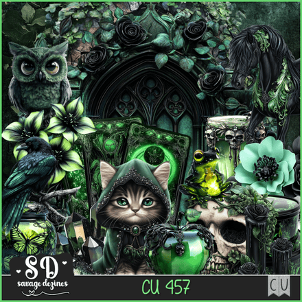 SD - AI CU 457