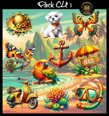 CCAD-Pack CU 1
