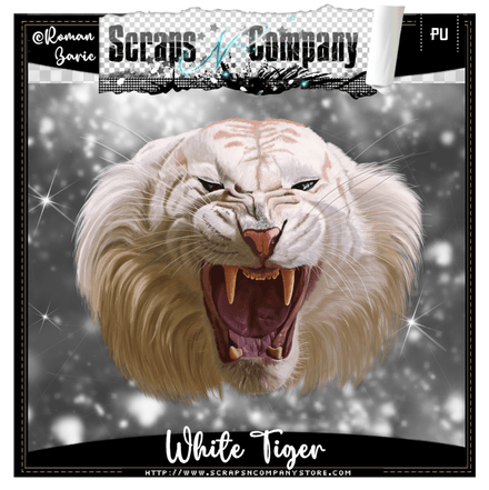 Roman Zaric - White Tiger