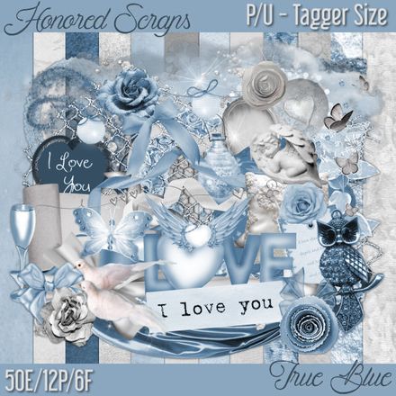 HS True Blue - Tagger