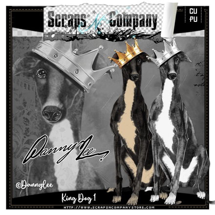 SNCO - King Dog 1