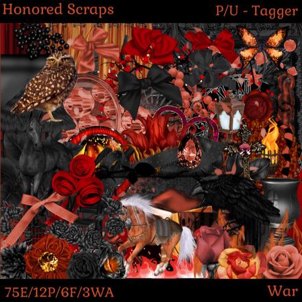 HS War - Tagger