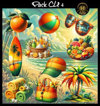 CCAD-Pack CU 4