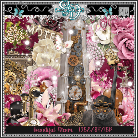 SD - Beautiful Steam Kit