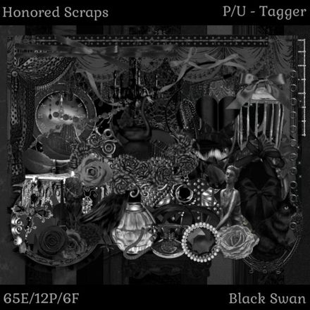 HS Black Swan - Tagger