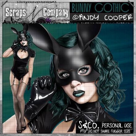 Andy Cooper - Bunny Gothic