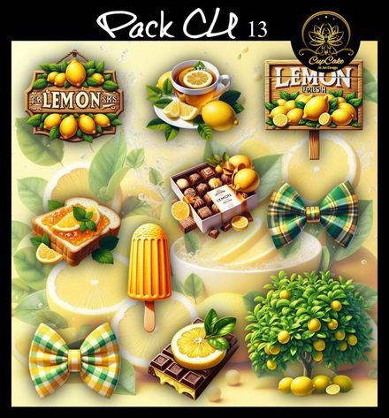 CCAD-Pack CU 13