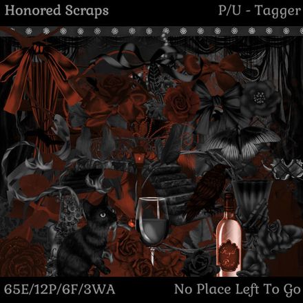 HS No Place Left To Go - Tagger