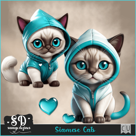 SD - AI CU Siamese Cats