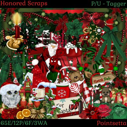 HS Pointsetta - Tagger