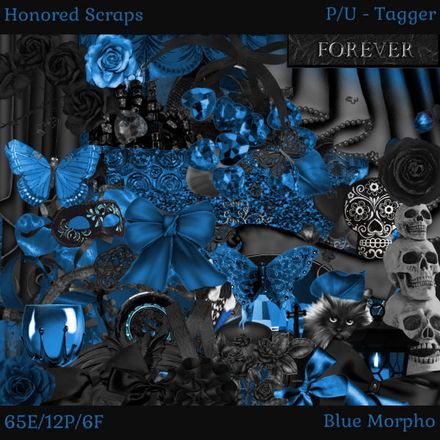 HS Blue Morpho - Tagger