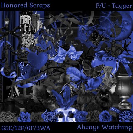 HS Always Watching - Tagger
