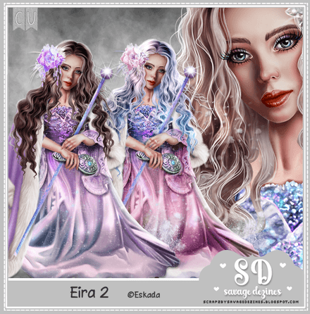 SD - Eira 2