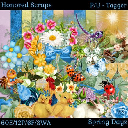 HS Spring Dayz - Tagger