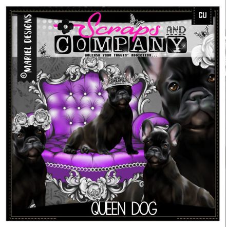 Mariel - Queen Dog