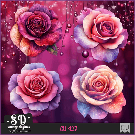 SD - AI CU 427