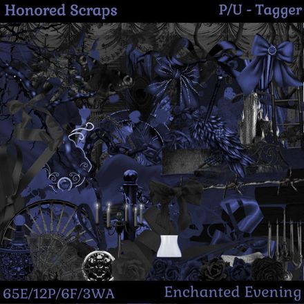 HS Enchanted Evening - Tagger