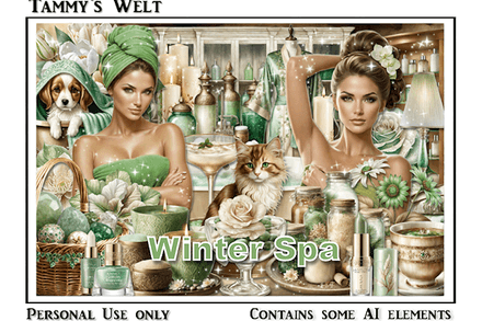 TW-Winter Spa