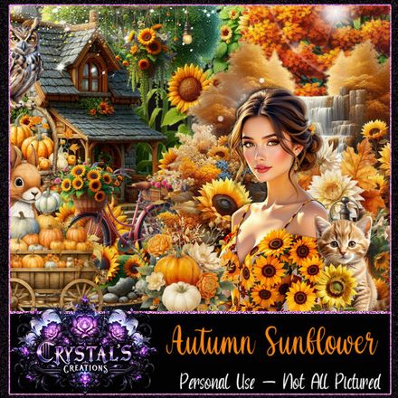 CC-Autumn Sunflower