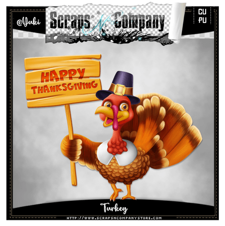 SNCO - Turkey
