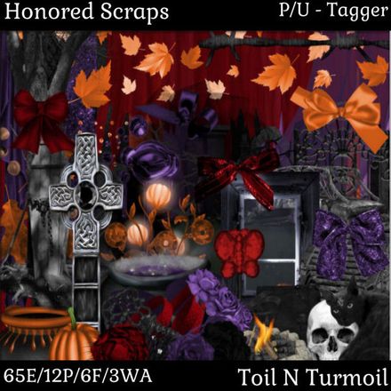HS Toil N Turmoil - Tagger
