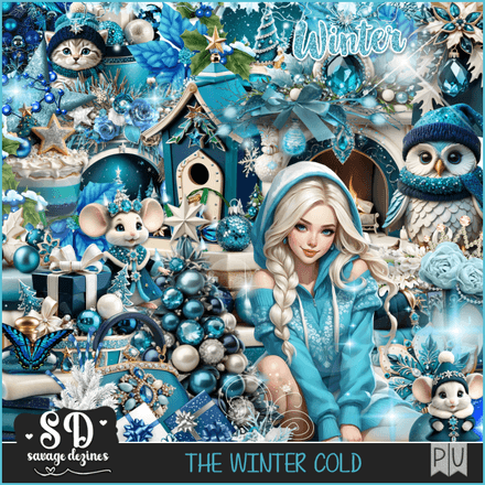 SD - The Winter Cold Kit