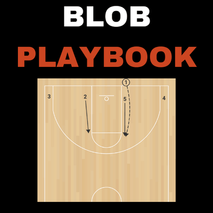 BLOB Playbook