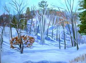 Winter Hydrangea &amp; Birch