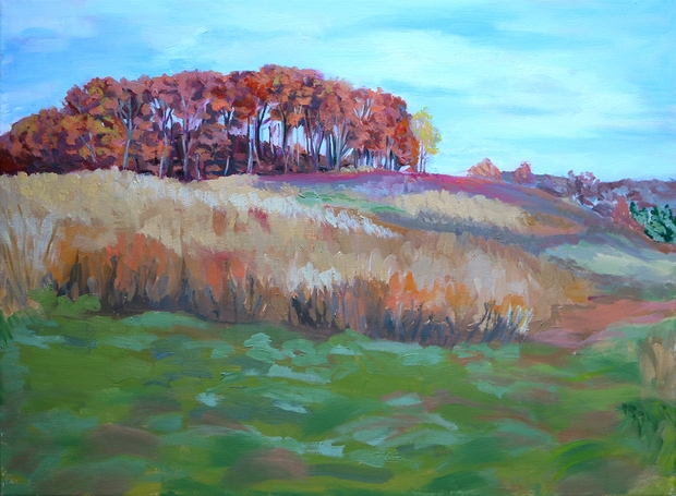 White Mound Fall Oak Savanna