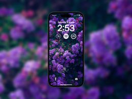 Vibrant Purple Blossoms