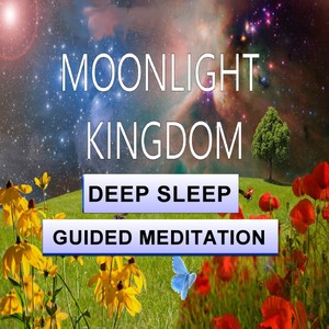 Moonlight kingdom sleep meditation