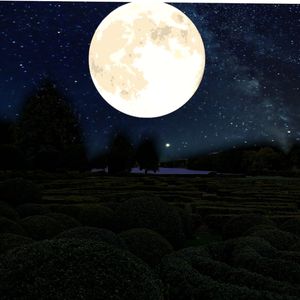 Maze of Sleep 2 for anxiety &amp; Overthinking 
