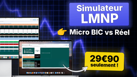 EXCEL - Simulateur de fiscalité &amp; sélecteur de régime (Réel VS Micro-BIC) - Outil professionnel