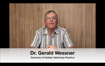 1. Overview of Dr. Wessner&#x27;s Holistic Practice