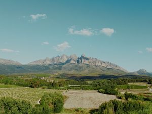 DJI Drone LUTs