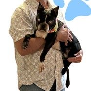 Tiny Henry Shipley