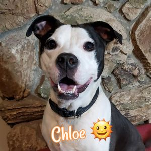 Chloe Sunshine