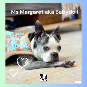 Ms Margaret aka Babydoll