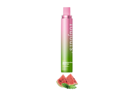 Watermelon Mint Ice