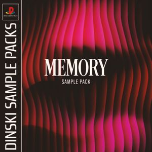 DINSKI MEMORY SAMPLE PACK