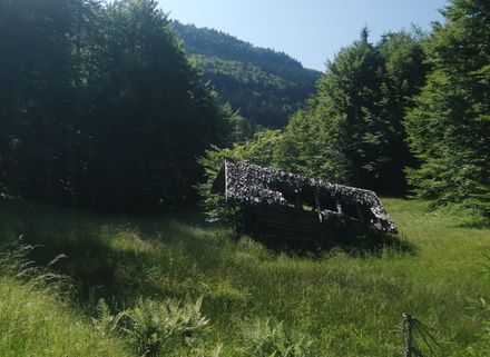 Jagd im August – Ein Ruf der Weiblichkeit