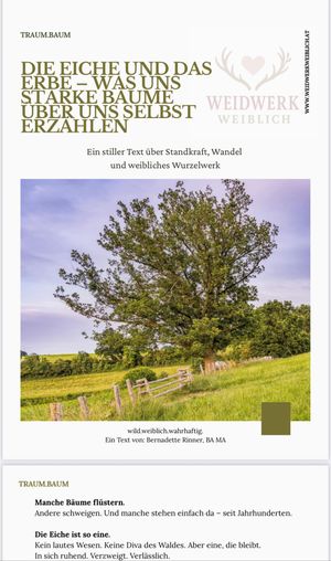 Traum.Baum: Die Eiche und das Erbe – Was uns starke Bäume über uns selbst erzählen