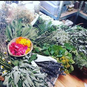 Wonn de Natur schenkt – Räuchern im Einklang mit da Natur Ein stiller Artikel von Silvia Kasbauer