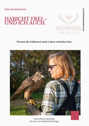 Habicht frei – und ich auch. Warum die Falknerei mein Leben verändert hat von Elisabeth Schöninger