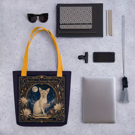 Dresden Fantasy Guardian Tote Bag