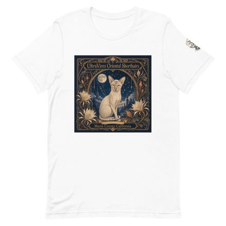 Dresden Fantasy Guardian Unisex T-Shirt