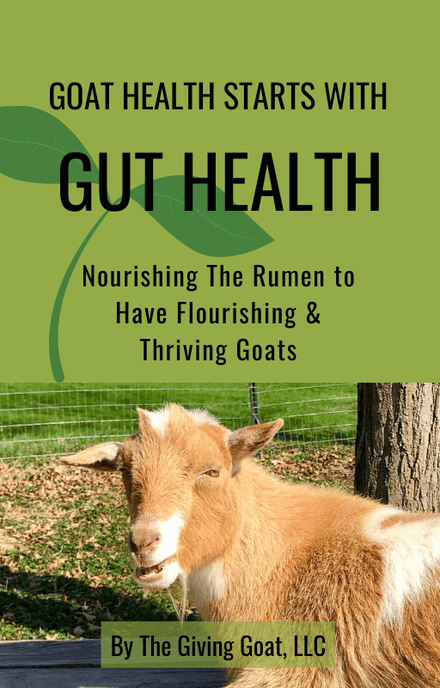 Natural Rumen Nourishment MINI EBOOK